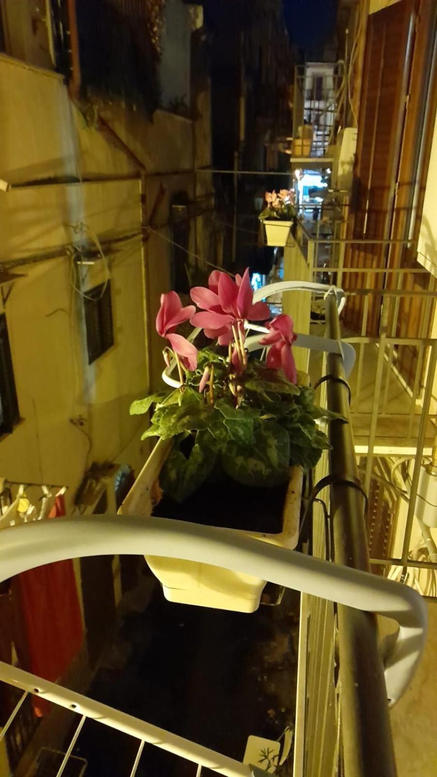 팔레르모 Casa Kyla 아파트 외부 사진